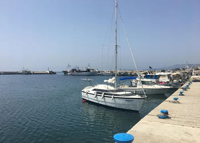 νέα σκιώνη, χαλκιδικής *