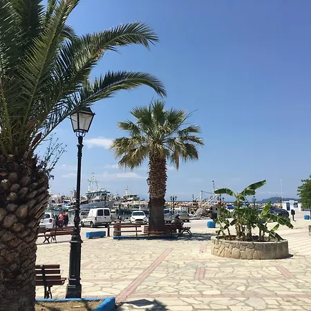 νέα σκιώνη, χαλκιδικής