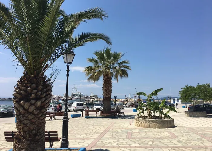 νέα σκιώνη, χαλκιδικής